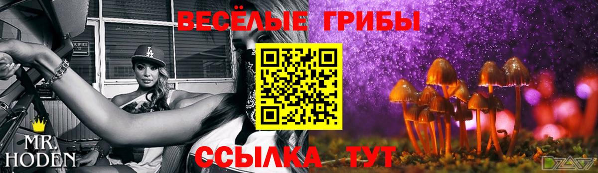 где купить наркотик  Галлюциногенные грибы Magic Shrooms  Вход с VPN  Сергиев Посад 